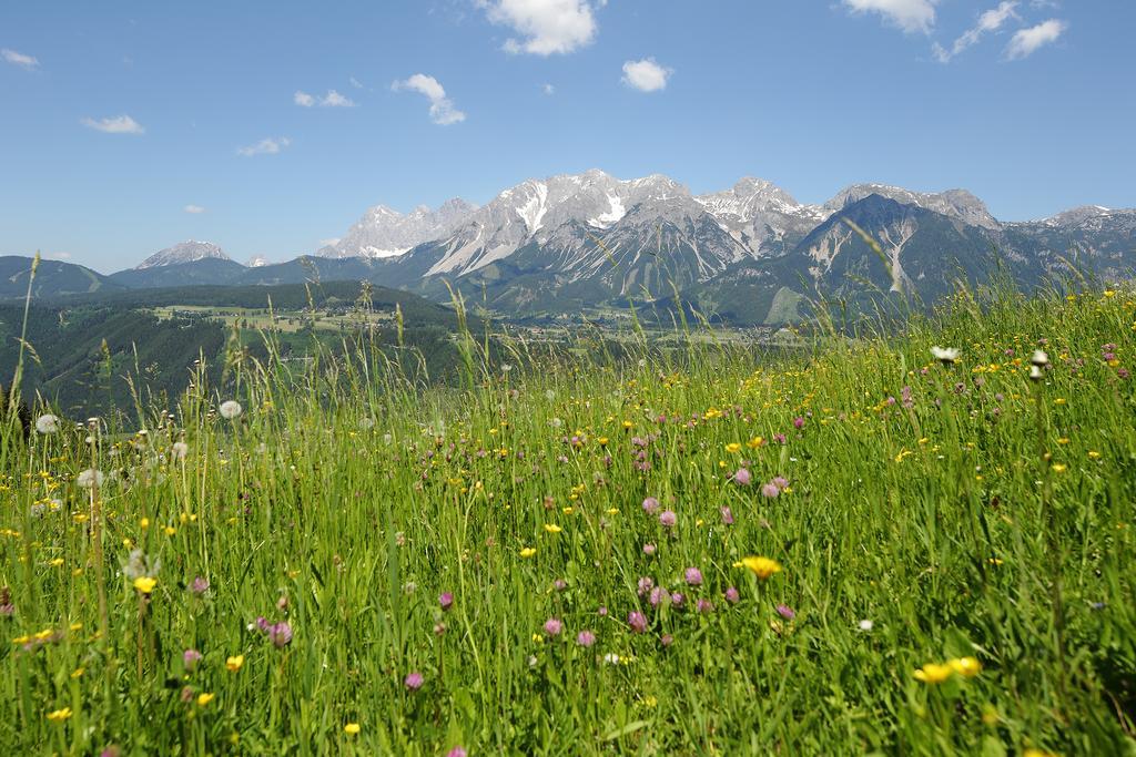 Chalet Alm Planai Schladming Luaran gambar